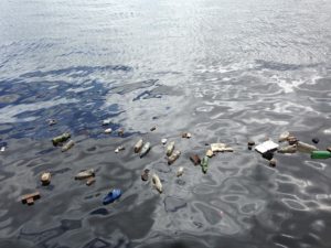 Ocean Plastics Pollution