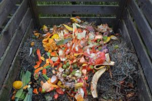 How to make biofuel from food debris